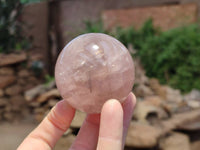 Polished Rose Quartz Spheres x 6 From Madagascar