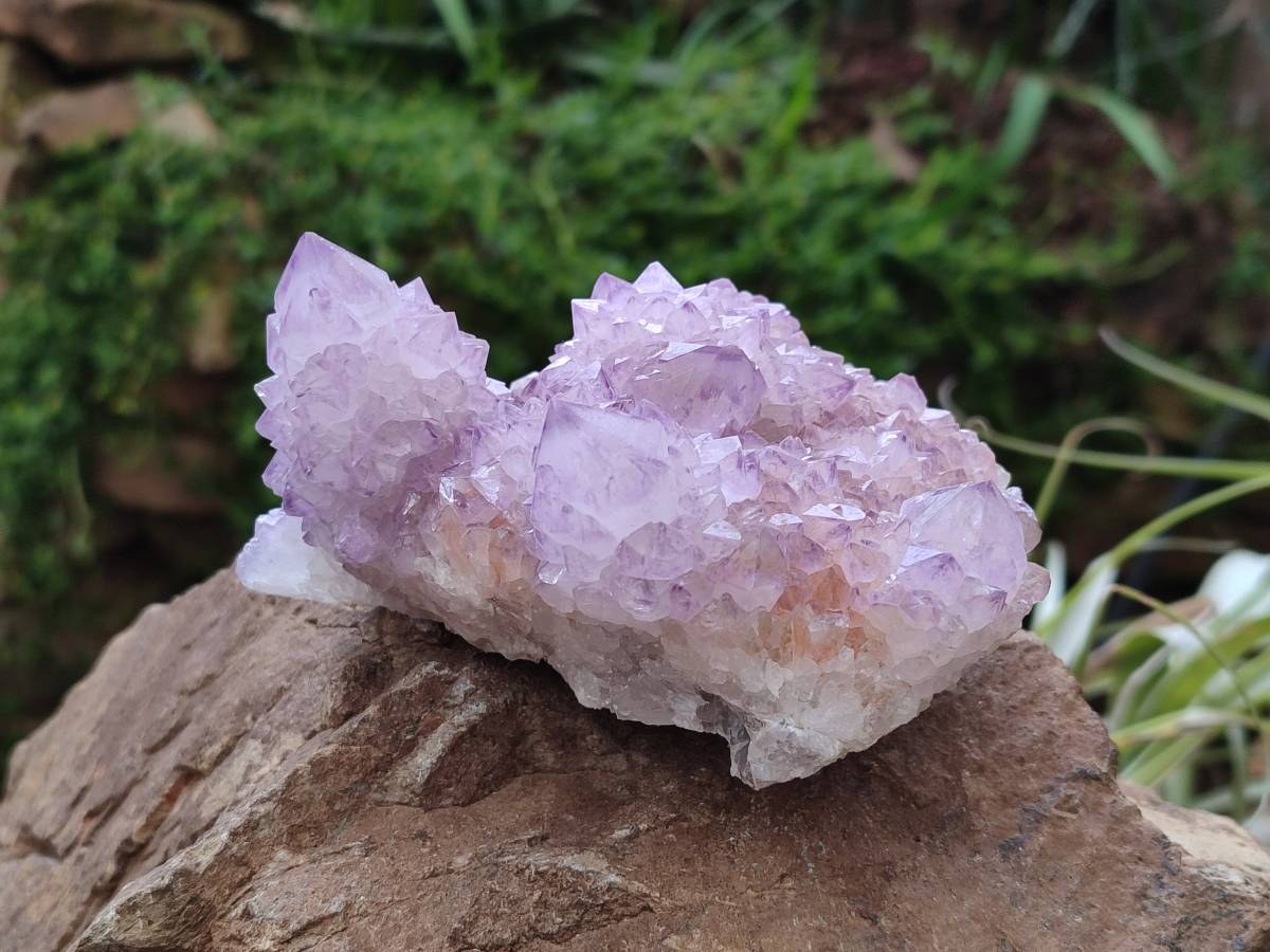 Natural Amethyst Spirit Quartz Clusters x 3 From Boekenhouthoek, South Africa - Toprock Gemstones and Minerals 