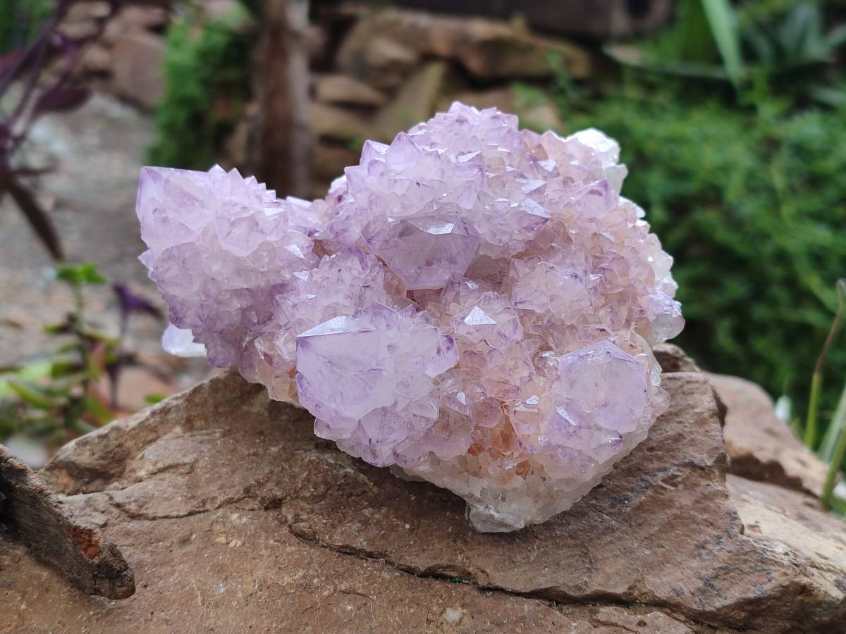 Natural Amethyst Spirit Quartz Clusters x 3 From Boekenhouthoek, South Africa - Toprock Gemstones and Minerals 