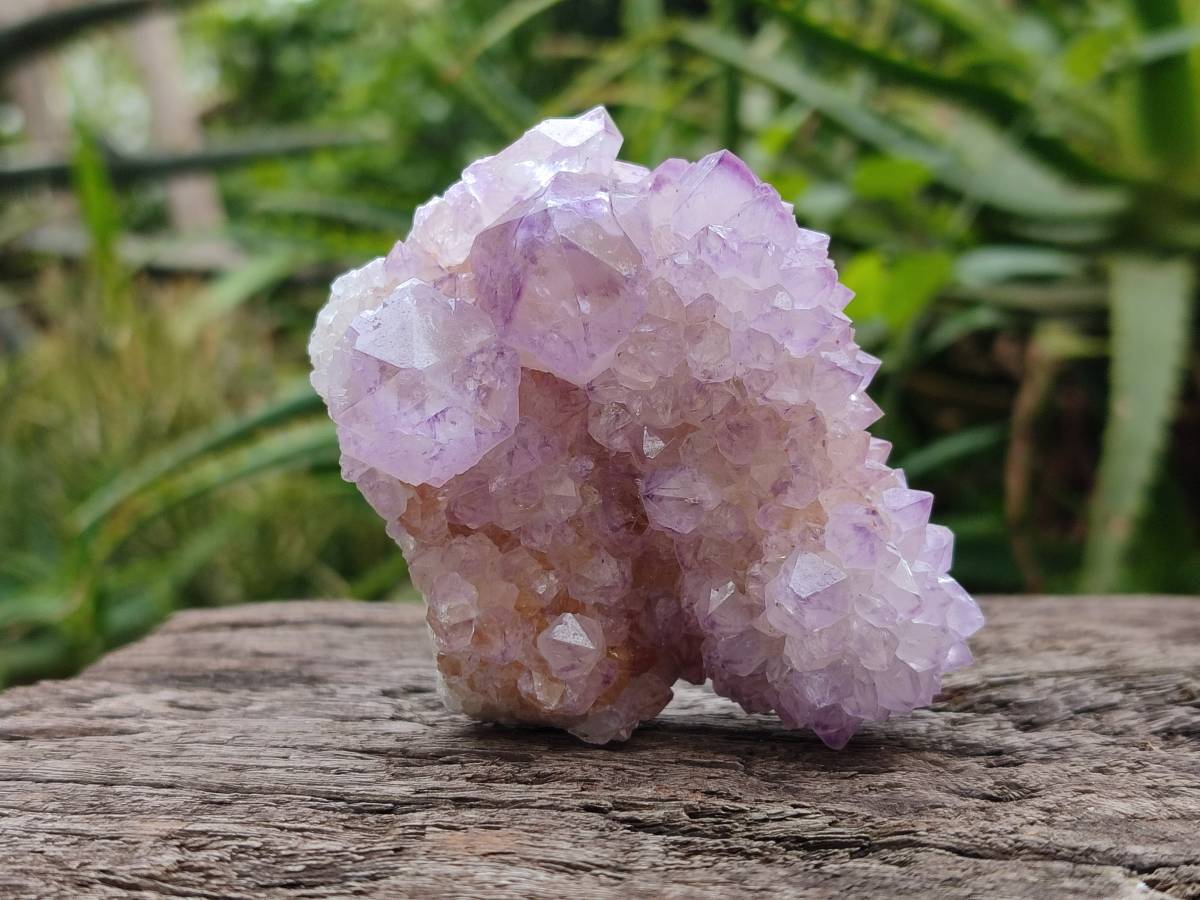 Natural Amethyst Spirit Quartz Clusters x 3 From Boekenhouthoek, South Africa - Toprock Gemstones and Minerals 