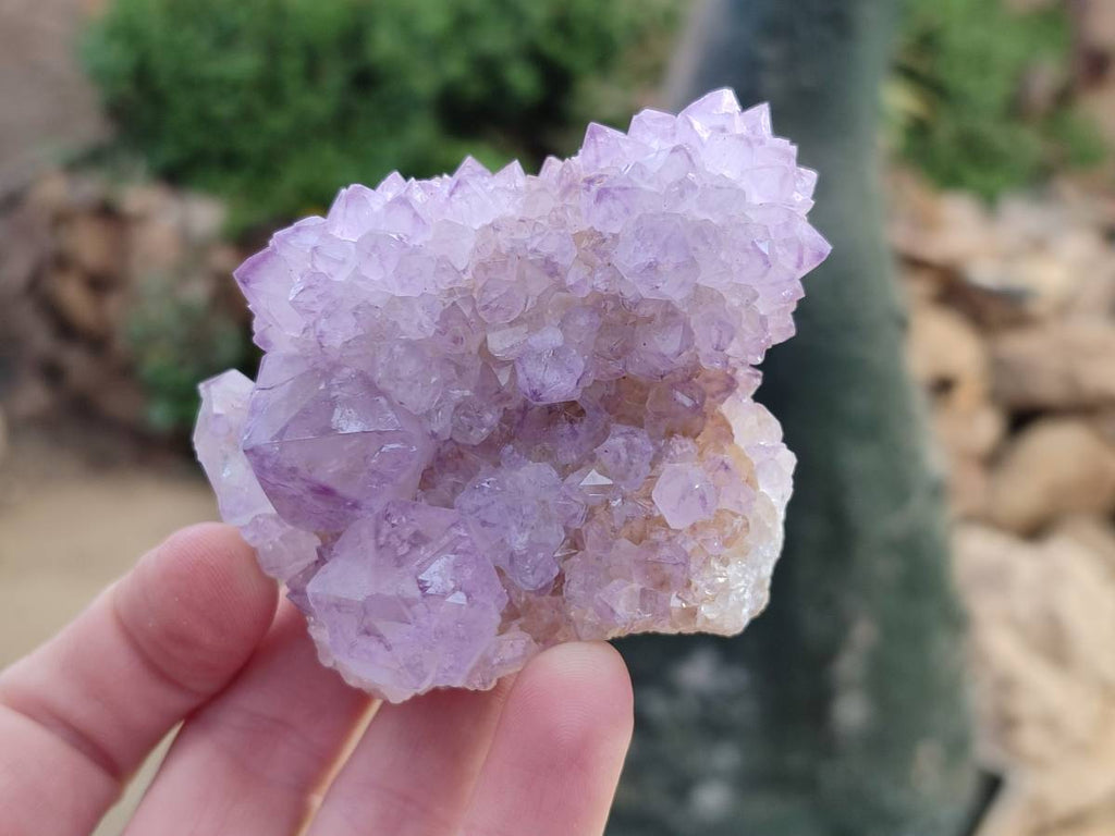 Natural Amethyst Spirit Quartz Clusters x 3 From Boekenhouthoek, South Africa - Toprock Gemstones and Minerals 