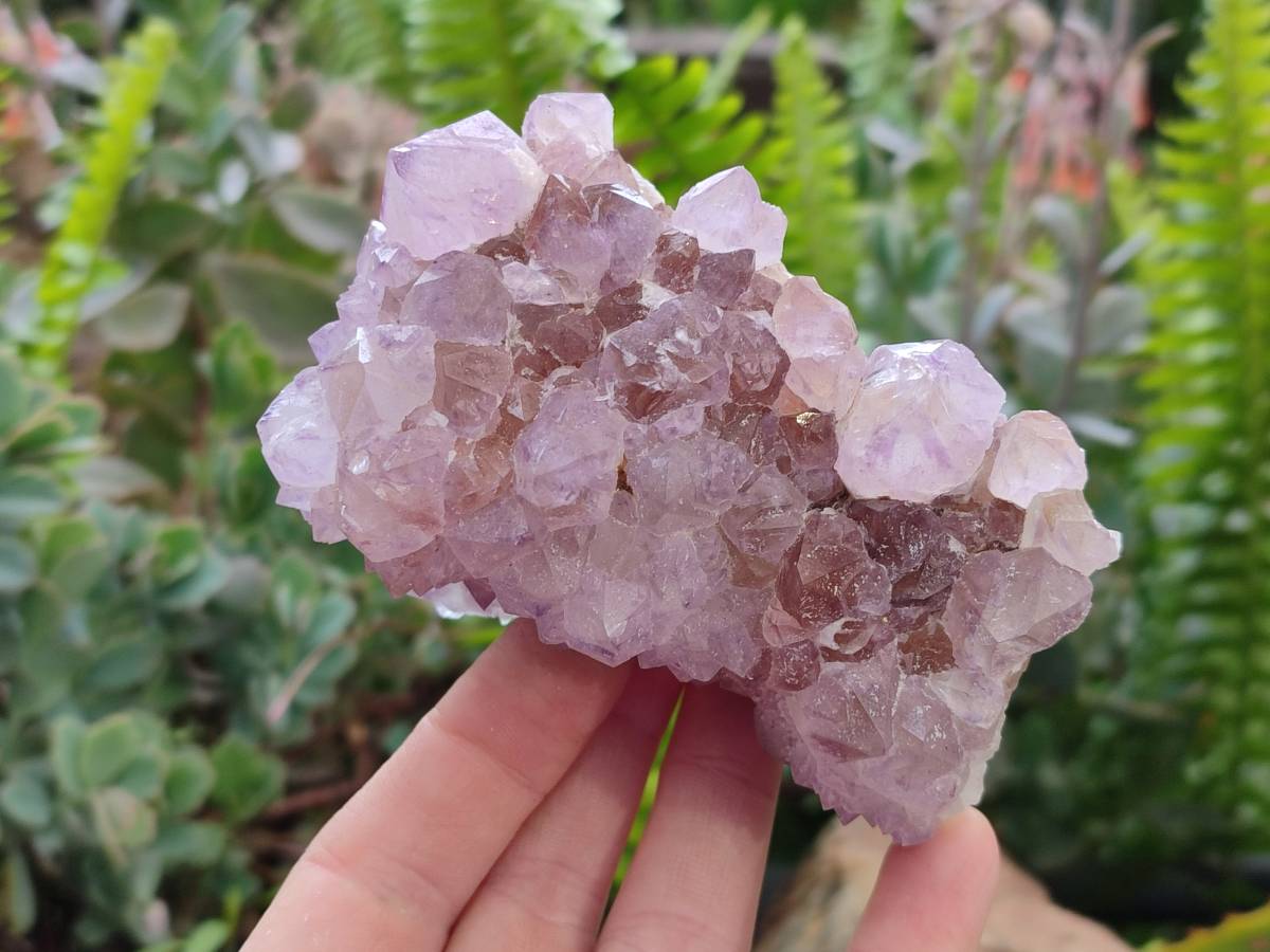 Natural Amethyst Spirit Quartz Clusters x 3 From Boekenhouthoek, South Africa - Toprock Gemstones and Minerals 