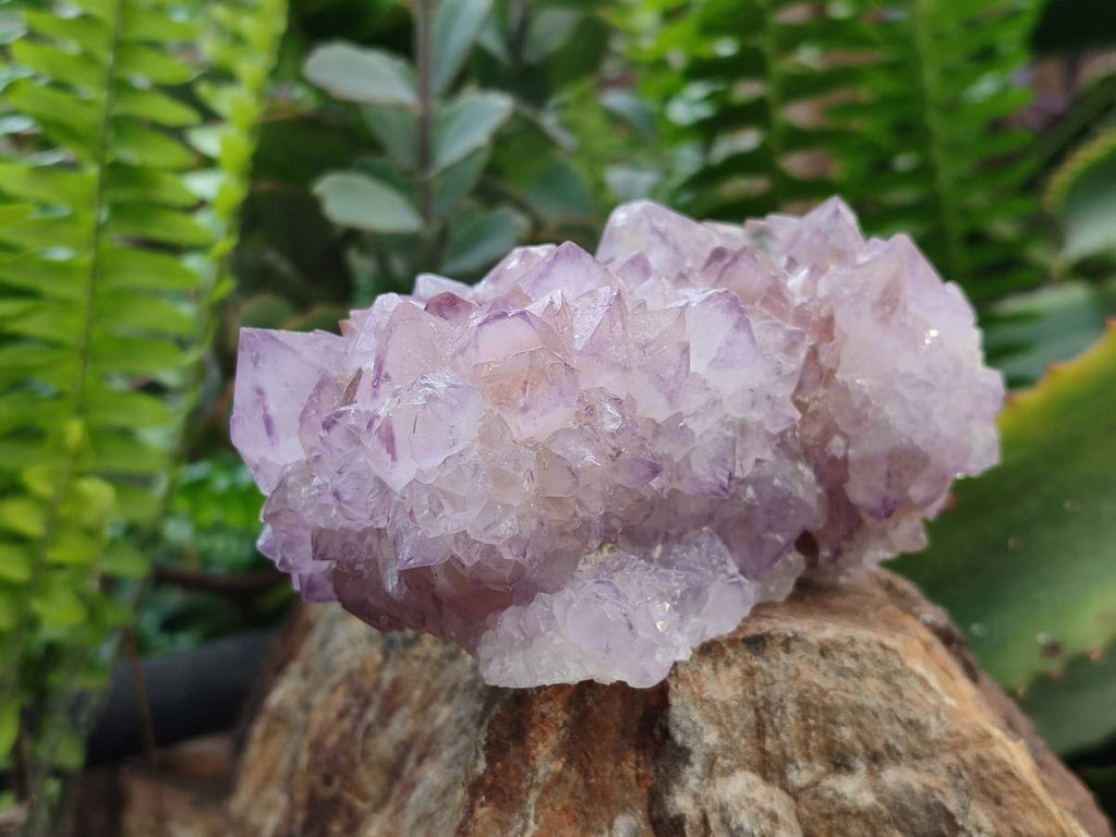 Natural Amethyst Spirit Quartz Clusters x 3 From Boekenhouthoek, South Africa - Toprock Gemstones and Minerals 