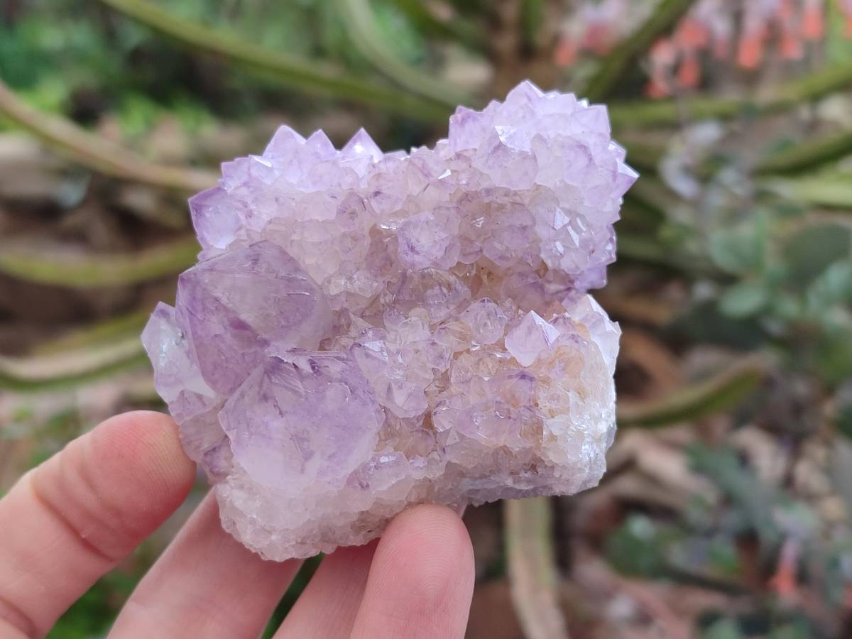 Natural Amethyst Spirit Quartz Clusters x 3 From Boekenhouthoek, South Africa - Toprock Gemstones and Minerals 