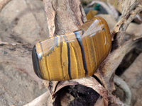 Polished Golden Tiger's Eye Jumbo Tumbled Stones x 12 From Prieska, South Africa