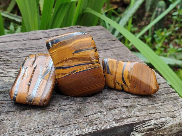 Polished Golden Tiger's Eye Jumbo Tumbled Stones x 12 From Prieska, South Africa