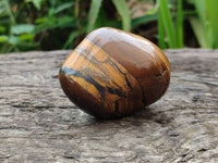 Polished Golden Tiger's Eye Jumbo Tumbled Stones x 12 From Prieska, South Africa