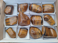 Polished Golden Tiger's Eye Jumbo Tumbled Stones x 12 From Prieska, South Africa