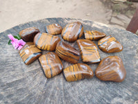 Polished Golden Tiger's Eye Jumbo Tumbled Stones x 12 From Prieska, South Africa