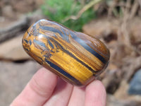 Polished Golden Tiger's Eye Jumbo Tumbled Stones x 12 From Prieska, South Africa
