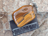 Polished Golden Tiger's Eye Jumbo Tumbled Stones x 12 From Prieska, South Africa
