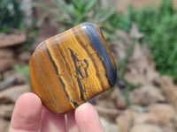 Polished Golden Tiger's Eye Jumbo Tumbled Stones x 12 From Prieska, South Africa