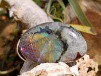 Polished Labradorite Galets x 24 From Tulear, Madagascar