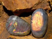 Polished Labradorite Galets x 24 From Tulear, Madagascar