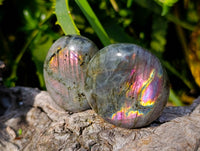 Polished Labradorite Galets x 24 From Tulear, Madagascar