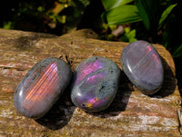 Polished Labradorite Galets x 24 From Tulear, Madagascar