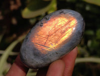 Polished Labradorite Galets x 24 From Tulear, Madagascar