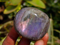 Polished Labradorite Galets x 24 From Tulear, Madagascar