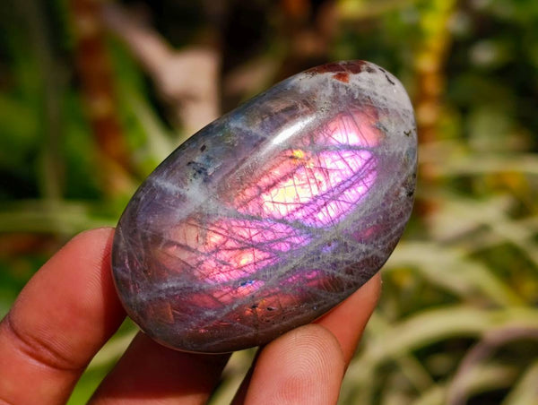 Polished Labradorite Galets x 24 From Tulear, Madagascar