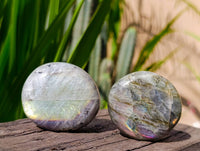 Polished Labradorite Galets x 24 From Tulear, Madagascar