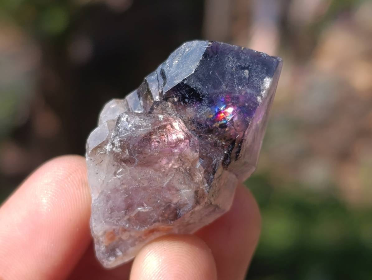 Natural Window Amethyst Crystals x 20 From Chiredzi, Zimbabwe - Toprock Gemstones and Minerals 