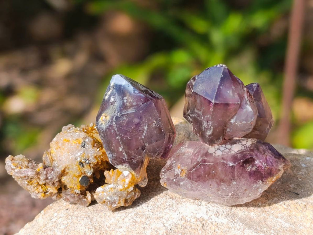 Natural Window Amethyst Crystals x 20 From Chiredzi, Zimbabwe - Toprock Gemstones and Minerals 