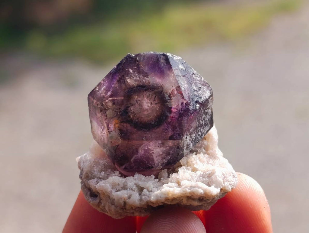 Natural Window Amethyst Crystals x 20 From Chiredzi, Zimbabwe - Toprock Gemstones and Minerals 