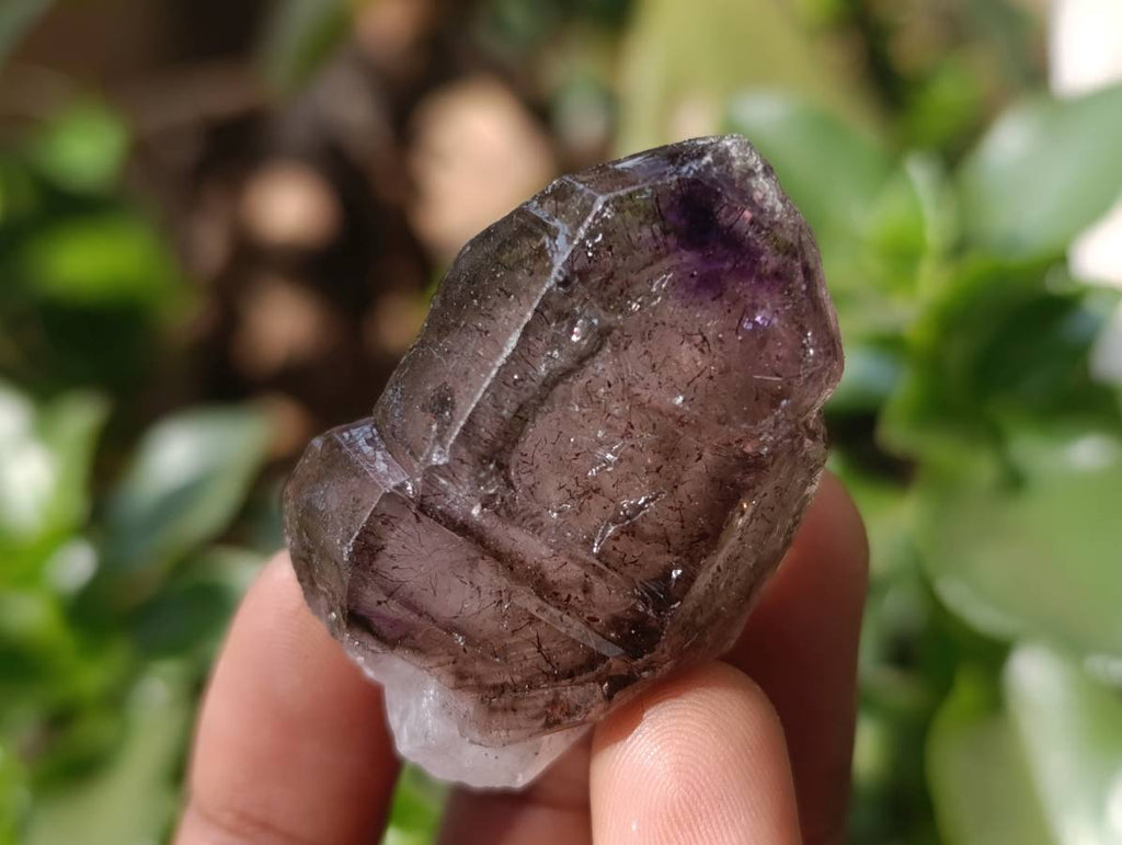 Natural Window Amethyst Crystals x 20 From Chiredzi, Zimbabwe - Toprock Gemstones and Minerals 