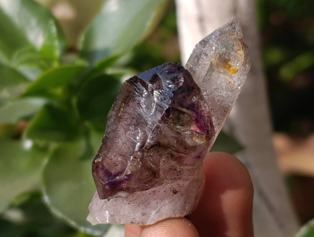 Natural Window Amethyst Crystals x 20 From Chiredzi, Zimbabwe - Toprock Gemstones and Minerals 