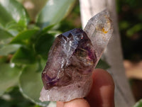 Natural Window Amethyst Crystals x 20 From Chiredzi, Zimbabwe