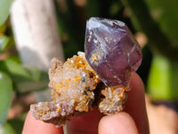 Natural Window Amethyst Crystals x 20 From Chiredzi, Zimbabwe