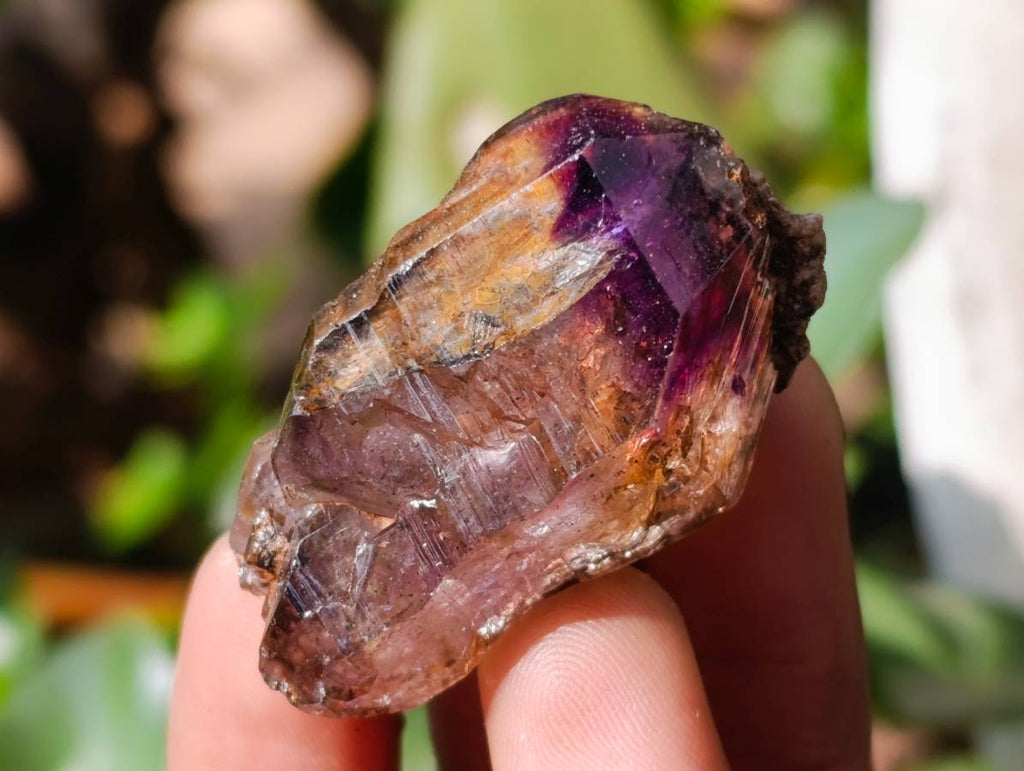 Natural Window Amethyst Crystals x 20 From Chiredzi, Zimbabwe - Toprock Gemstones and Minerals 