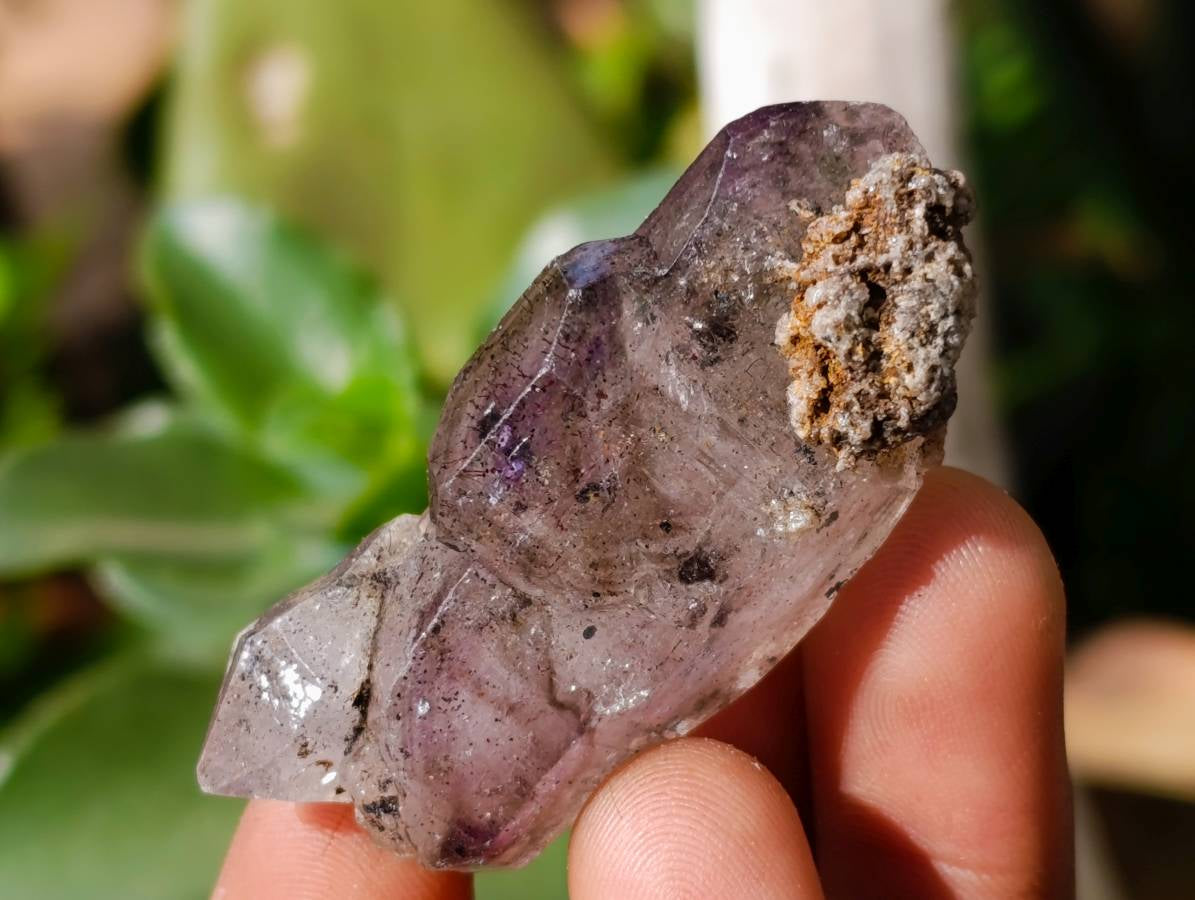 Natural Window Amethyst Crystals x 20 From Chiredzi, Zimbabwe - Toprock Gemstones and Minerals 