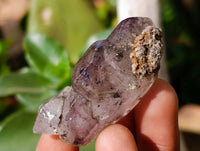 Natural Window Amethyst Crystals x 20 From Chiredzi, Zimbabwe