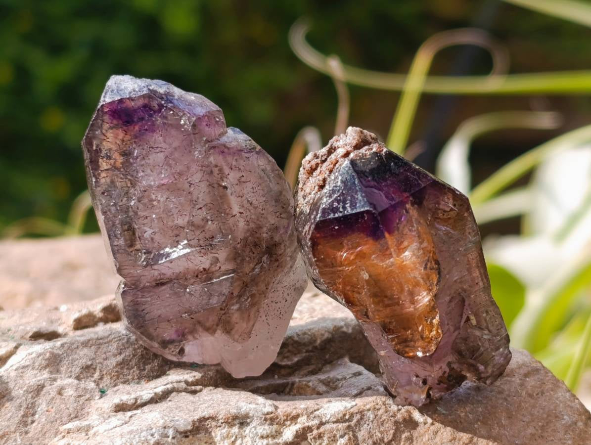 Natural Window Amethyst Crystals x 20 From Chiredzi, Zimbabwe - Toprock Gemstones and Minerals 