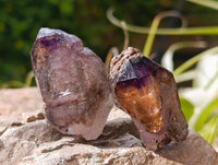 Natural Window Amethyst Crystals x 20 From Chiredzi, Zimbabwe