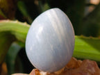 Polished Blue Calcite Eggs x 17 From Madagascar - Toprock Gemstones and Minerals 