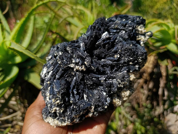 Natural Schorl Black Tourmaline Specimen x 1 From Erongo, Namibia