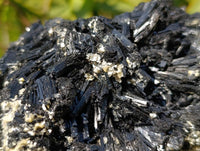 Natural Schorl Black Tourmaline Specimen x 1 From Erongo, Namibia