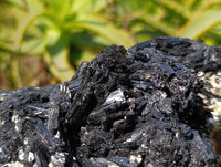 Natural Schorl Black Tourmaline Specimen x 1 From Erongo, Namibia