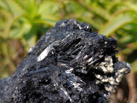 Natural Schorl Black Tourmaline Specimen x 1 From Erongo, Namibia