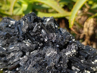 Natural Schorl Black Tourmaline Specimen x 1 From Erongo, Namibia