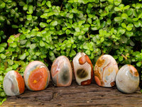 Polished Polychrome Jasper Standing Free Forms x 6 From NW Coast, Madagascar