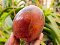 Polished Polychrome Jasper Standing Free Forms x 6 From NW Coast, Madagascar