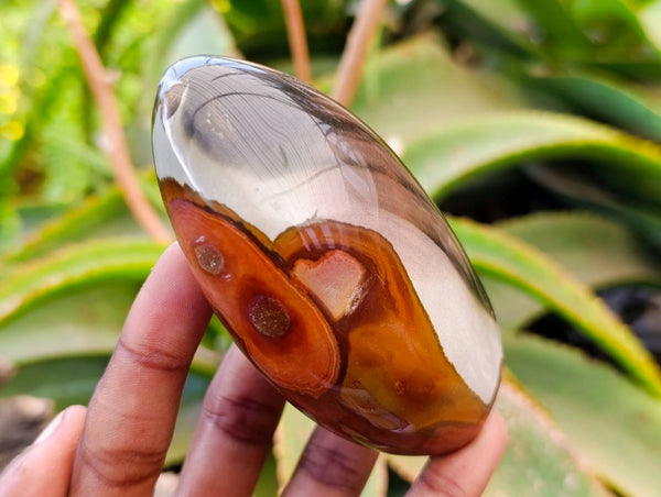 Polished Polychrome Jasper Standing Free Forms x 6 From NW Coast, Madagascar