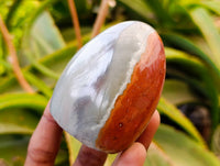 Polished Polychrome Jasper Standing Free Forms x 6 From NW Coast, Madagascar