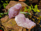 Natural Amethyst Spirit Quartz Clusters x 6 From Boekenhouthoek, South Africa - Toprock Gemstones and Minerals 