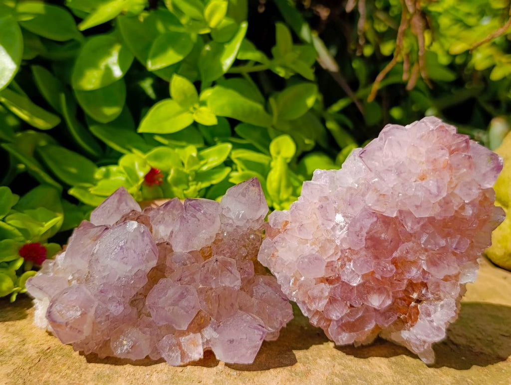 Natural Amethyst Spirit Quartz Clusters x 6 From Boekenhouthoek, South Africa - Toprock Gemstones and Minerals 
