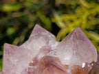 Natural Amethyst Spirit Quartz Clusters x 6 From Boekenhouthoek, South Africa - Toprock Gemstones and Minerals 