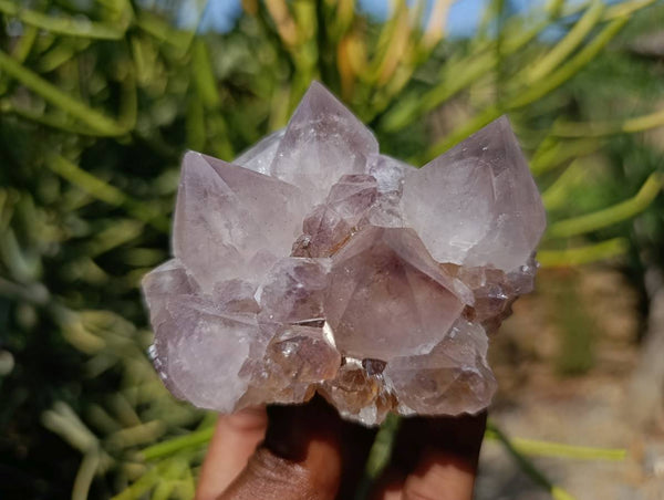 Natural Amethyst Spirit Quartz Clusters x 6 From Boekenhouthoek, South Africa